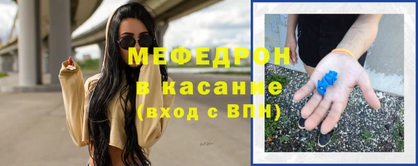 spice Богородск