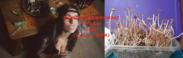 мет Богородицк