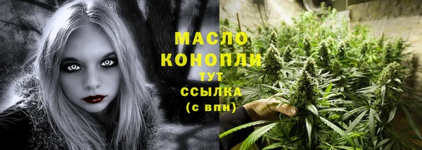spice Богородск