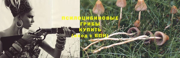 spice Богородск
