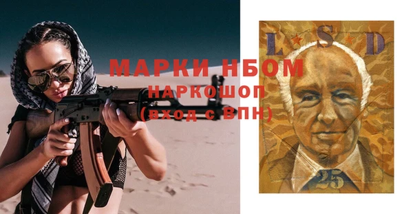 spice Богородск